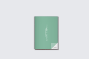 Cuaderno profesorado Cuaderno Notas A5 surtidos P102 ADDITIO